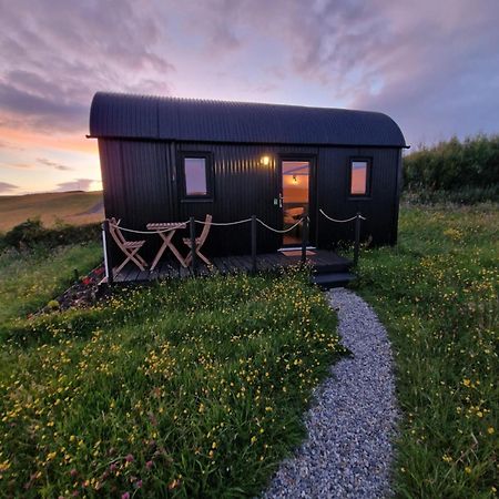 فيلا Wild Meadow Huts دولين المظهر الخارجي الصورة