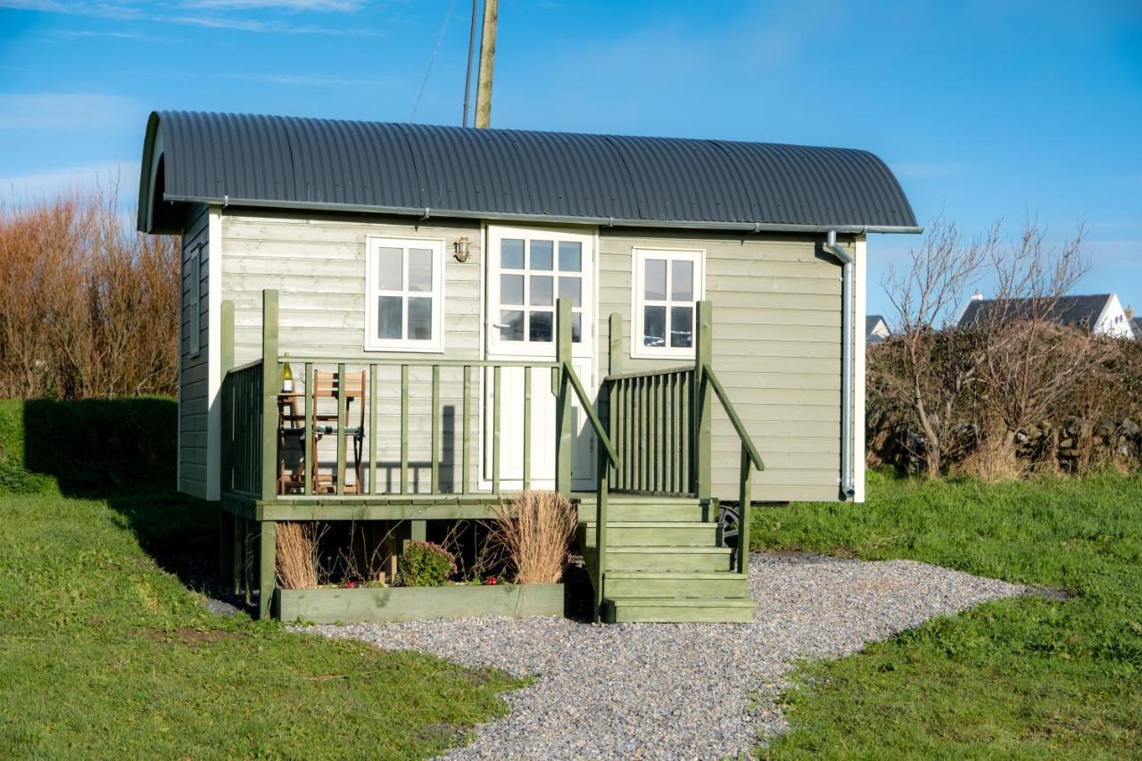 فيلا Wild Meadow Huts دولين المظهر الخارجي الصورة
