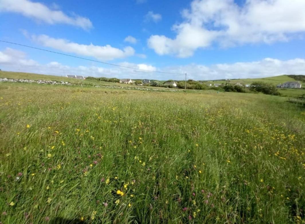 فيلا Wild Meadow Huts دولين المظهر الخارجي الصورة