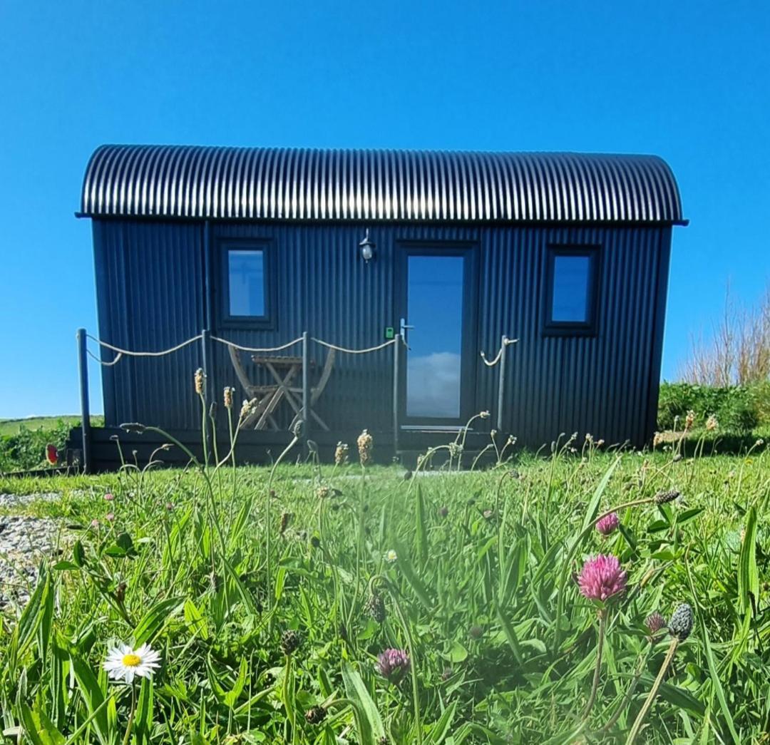فيلا Wild Meadow Huts دولين المظهر الخارجي الصورة