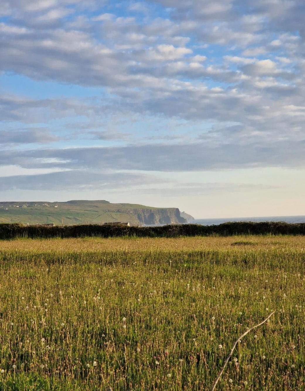 فيلا Wild Meadow Huts دولين المظهر الخارجي الصورة