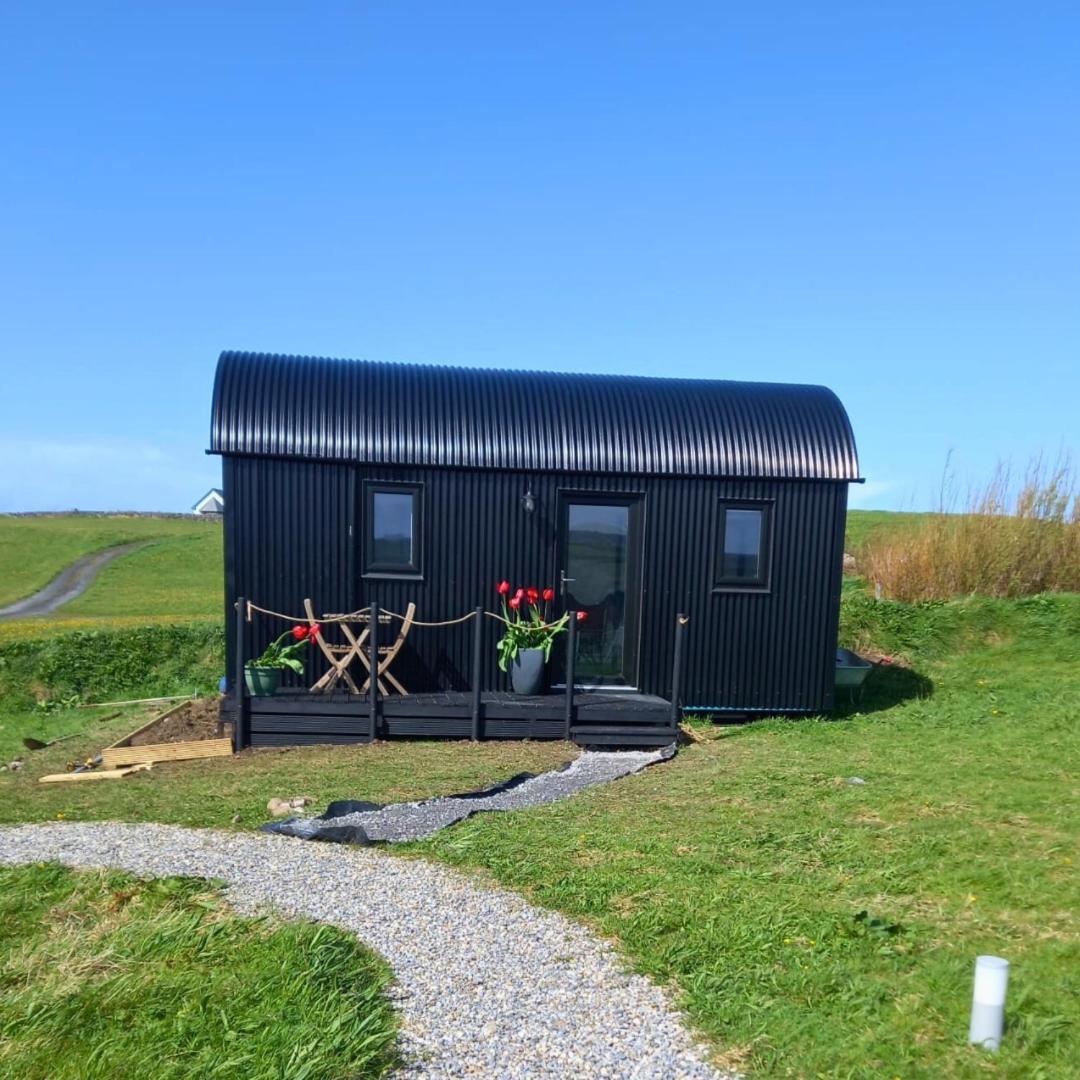 فيلا Wild Meadow Huts دولين المظهر الخارجي الصورة