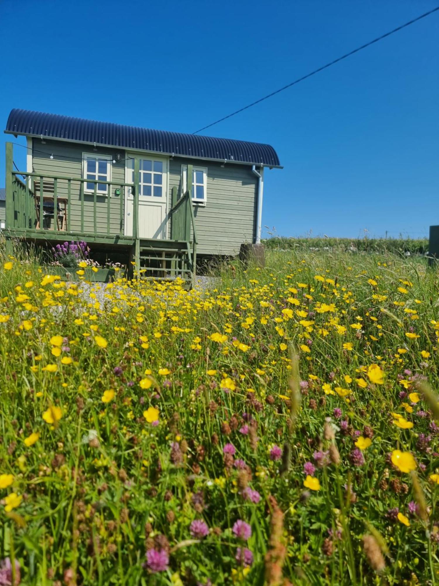 فيلا Wild Meadow Huts دولين المظهر الخارجي الصورة