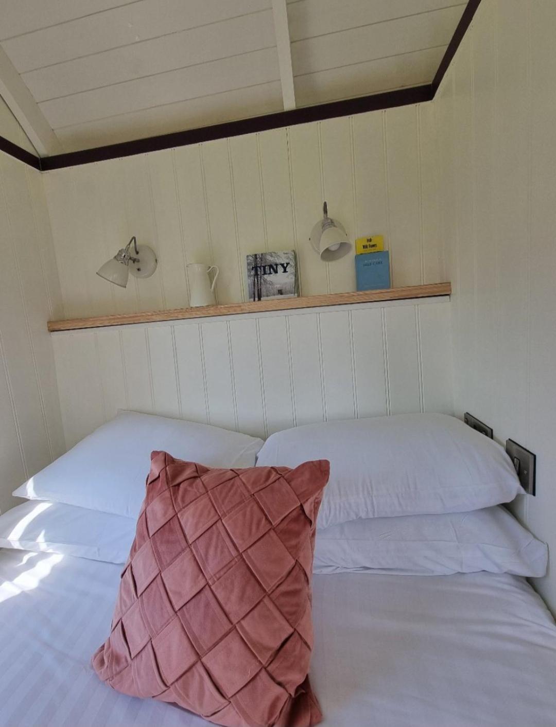 فيلا Wild Meadow Huts دولين المظهر الخارجي الصورة