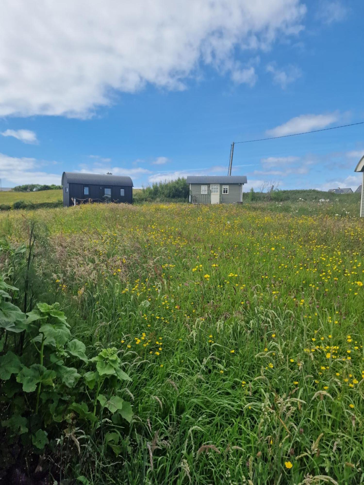 فيلا Wild Meadow Huts دولين المظهر الخارجي الصورة