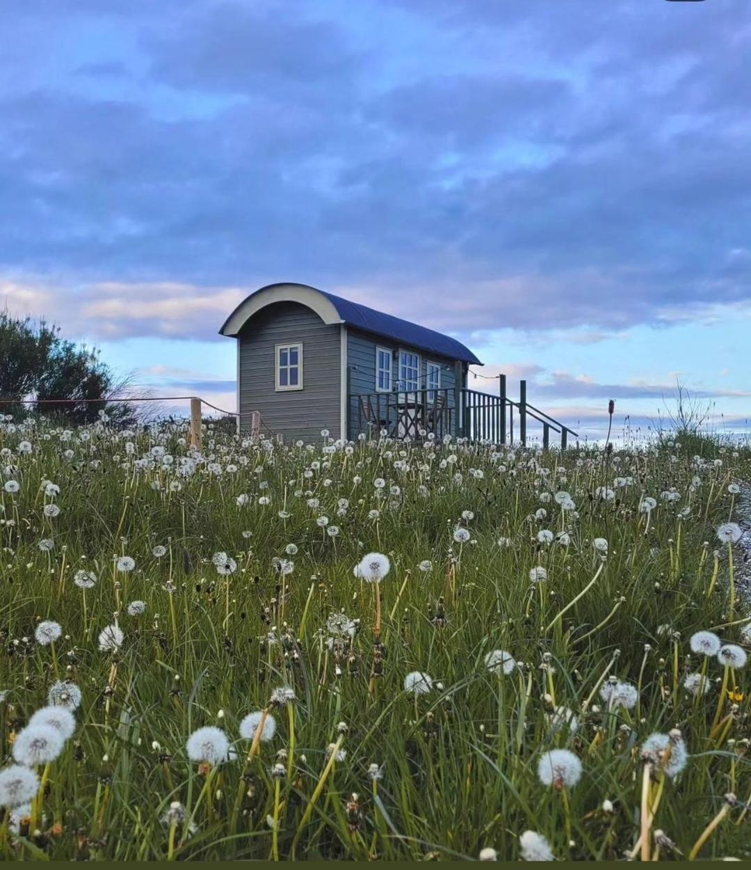فيلا Wild Meadow Huts دولين المظهر الخارجي الصورة