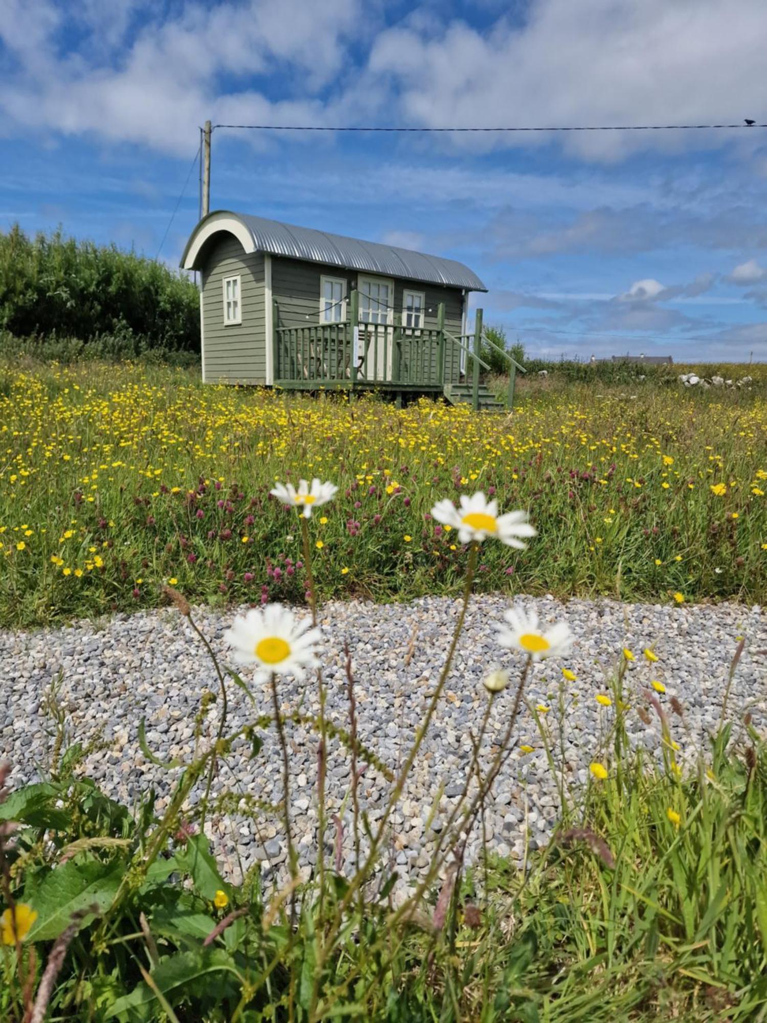 فيلا Wild Meadow Huts دولين المظهر الخارجي الصورة