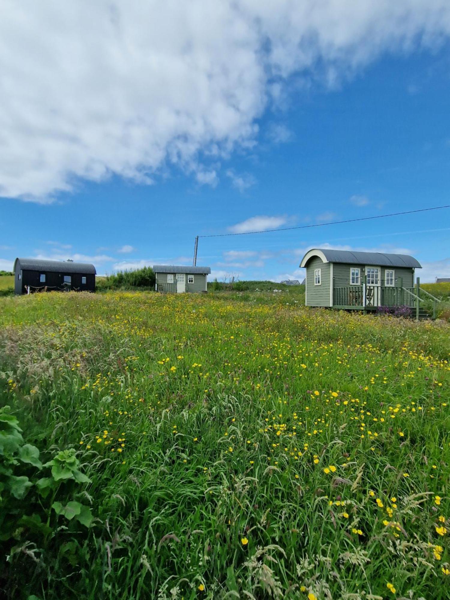 فيلا Wild Meadow Huts دولين المظهر الخارجي الصورة