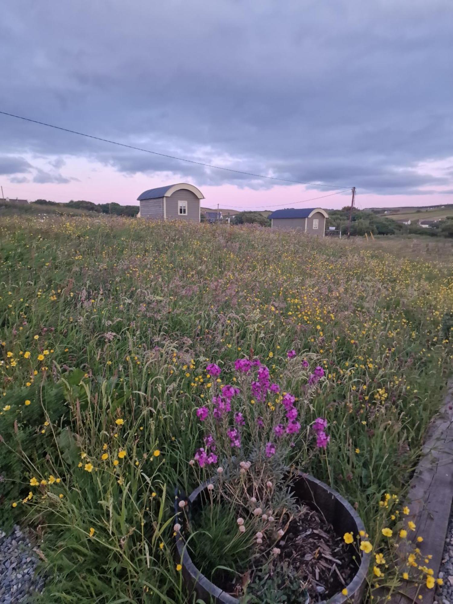 فيلا Wild Meadow Huts دولين المظهر الخارجي الصورة