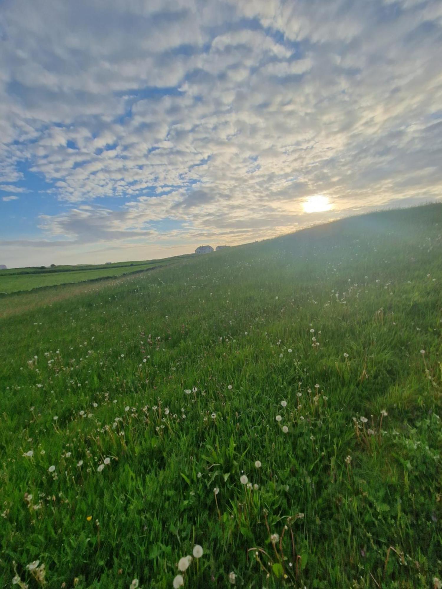 فيلا Wild Meadow Huts دولين المظهر الخارجي الصورة