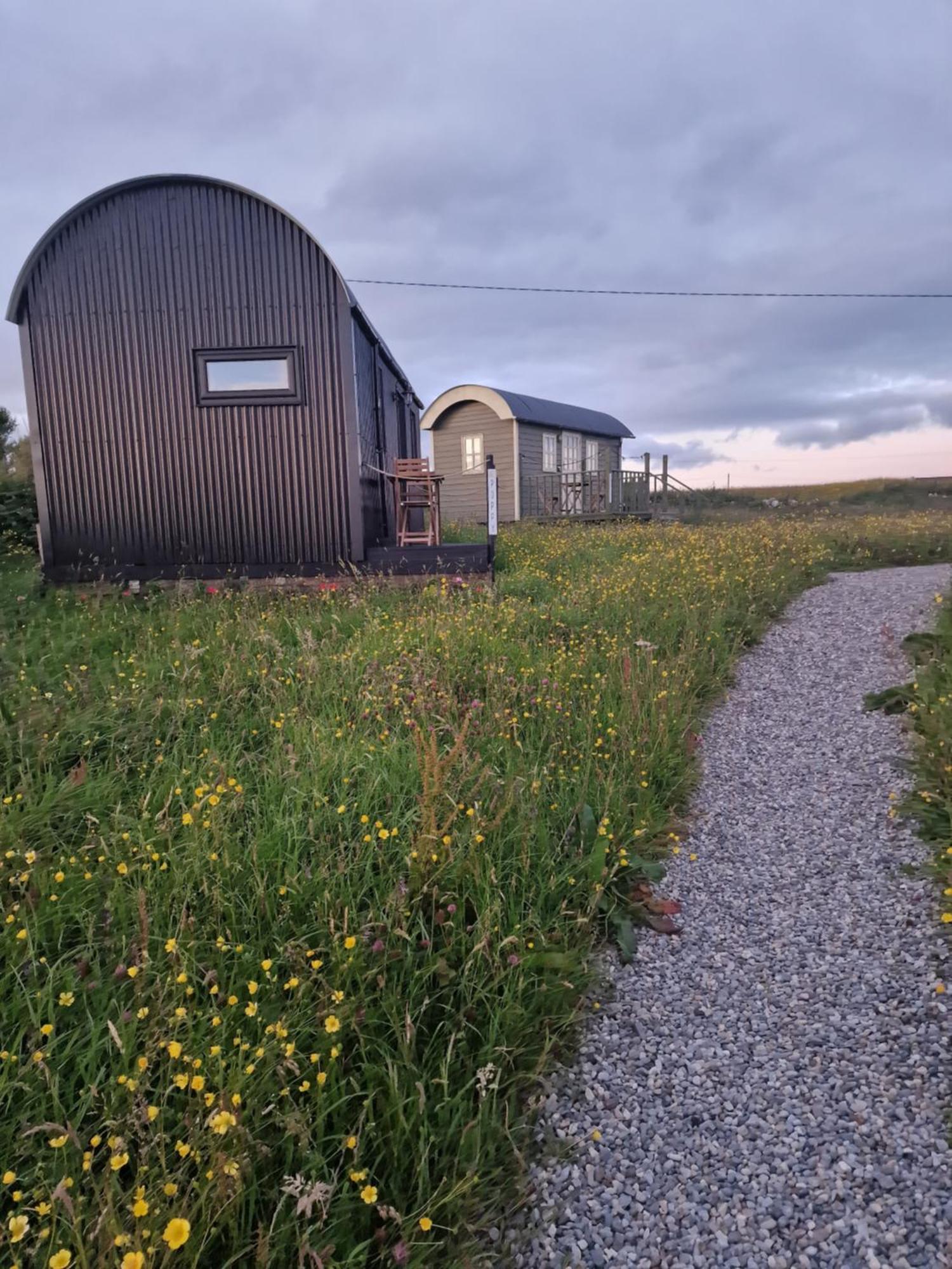 فيلا Wild Meadow Huts دولين المظهر الخارجي الصورة