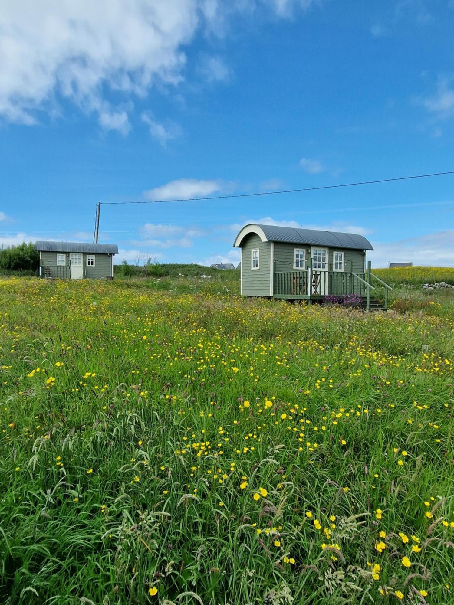 فيلا Wild Meadow Huts دولين المظهر الخارجي الصورة